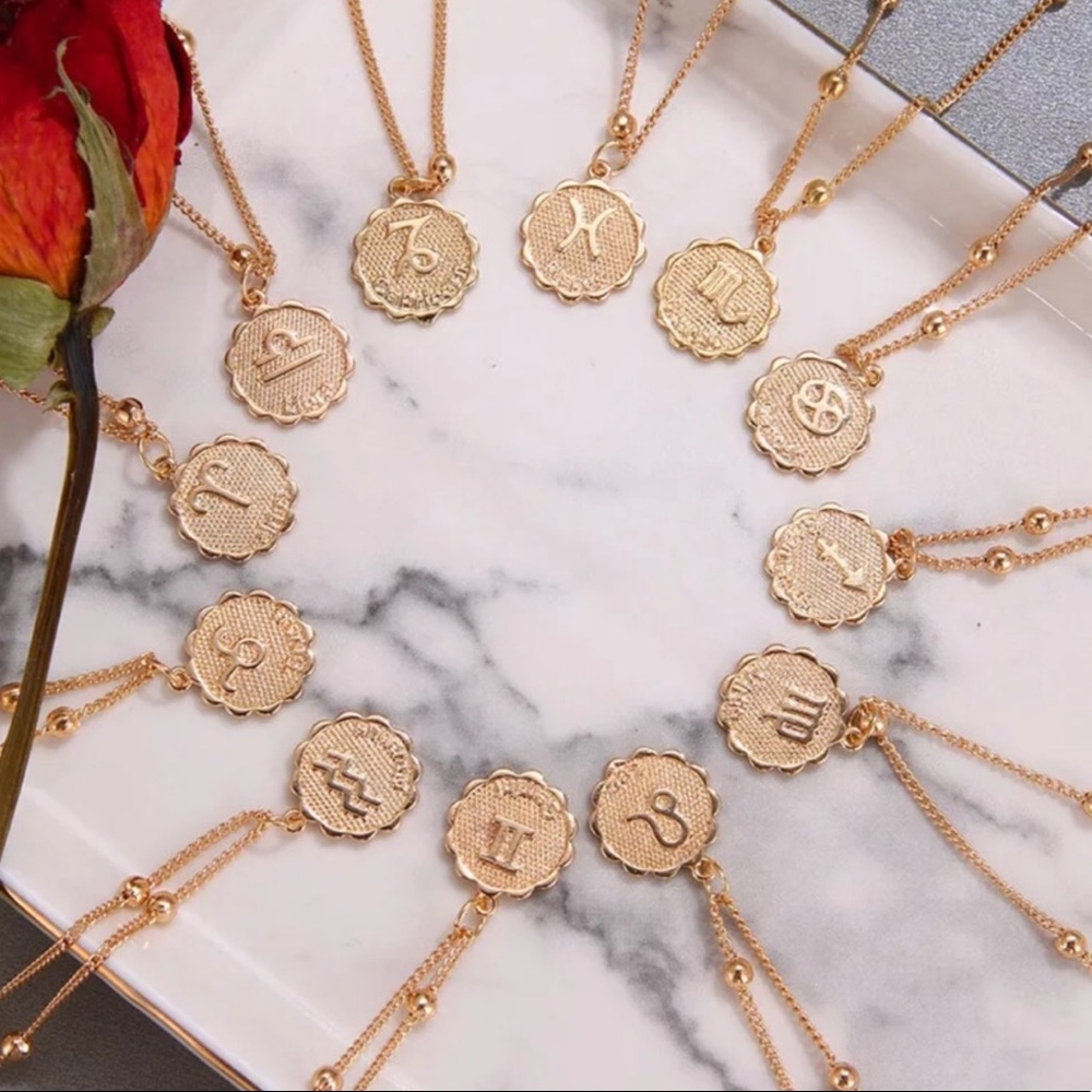 Scorpio Zodiac Coin Necklace - Picture 5 of 8